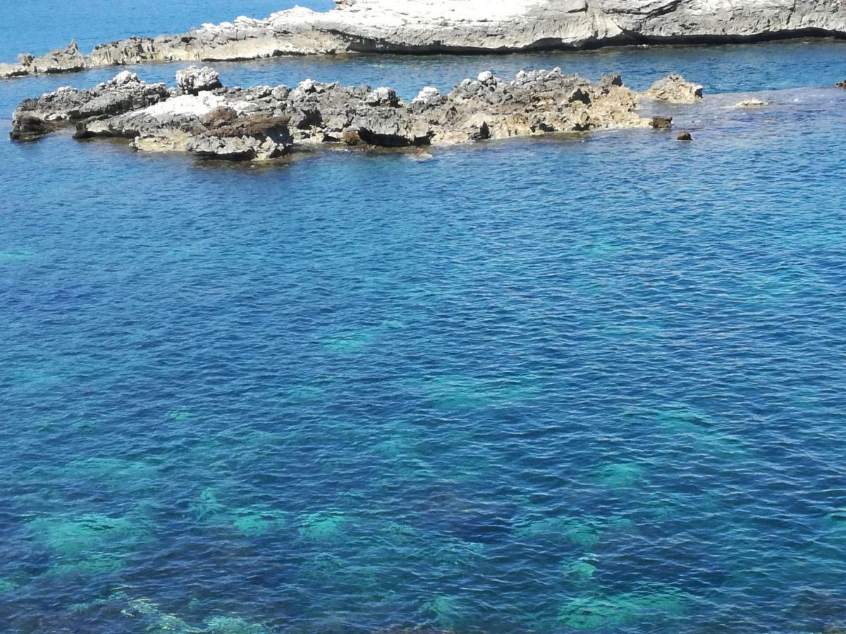 Case Vacanze Terra Sinus Terrasini Eksteriør bilde